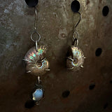 A pair of handmade dangle earrings featuring natural iridescent ammonite shells and a small light blue moonstone, hanging against a rustic, textured metal background.