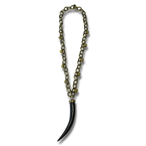 Long Chain with Horn